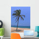 Palm Beach
