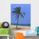 Palm Beach