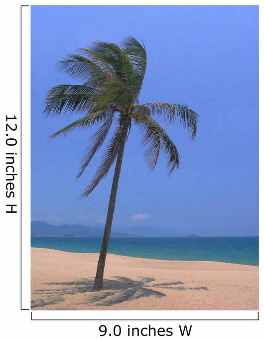 Palm Beach