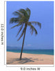 Palm Beach