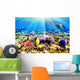 Coral and Fish Red Wall Mural