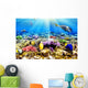 Coral and Fish Red Wall Mural