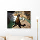Sea lion with seagull in Seaworld in San Diego while sunbathing Wall Mural