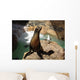 Sea lion with seagull in Seaworld in San Diego while sunbathing Wall Mural