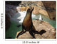 Sea lion with seagull in Seaworld in San Diego while sunbathing Wall Mural