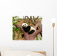 Sleeping Giant Panda Baby