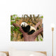 Sleeping Giant Panda Baby