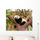Sleeping Giant Panda Baby
