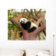 Sleeping Giant Panda Baby