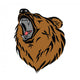 Grizzly bear head Wall Decal