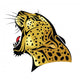Leopard head on white background Wall Decal