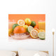 Citrus Squeezer Wall Mural