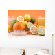 Citrus Squeezer Wall Mural