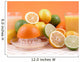 Citrus Squeezer Wall Mural