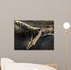 Fossil Wall Decal