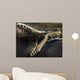 Fossil Wall Decal