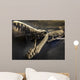 Fossil Wall Decal