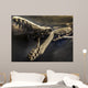 Fossil Wall Decal
