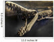 Fossil Wall Decal