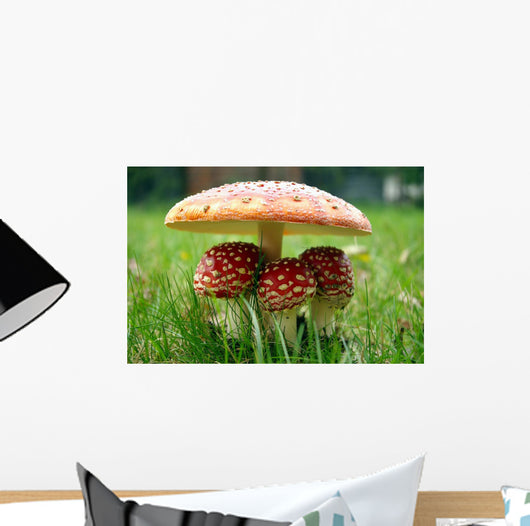 Little Triplet toadstools with Mother Wall Mural