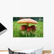 Little Triplet toadstools with Mother Wall Mural