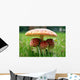 Little Triplet toadstools with Mother Wall Mural