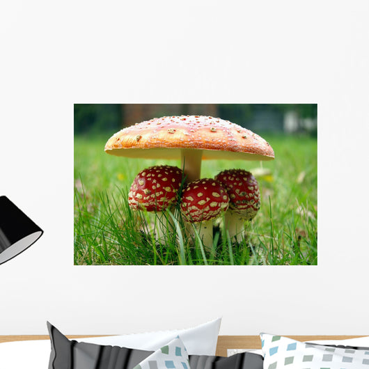Little Triplet toadstools with Mother Wall Mural