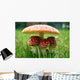 Little Triplet toadstools with Mother Wall Mural