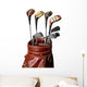 Vintage Golf Clubs