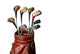 Vintage Golf clubs Wall Decal