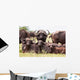 Buffalo Herd Resting Grass Wall Mural