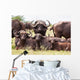 Buffalo Herd Resting Grass Wall Mural