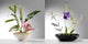 Two Japanese Ikebana Samples