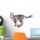 Domestic Cat Wall Mural
