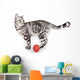 Domestic Cat Wall Mural