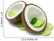 Coconut and Lime Wall Decal