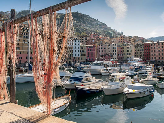 Il Porto Di Camogli Wall Decal