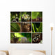Spa Theme Collage Composed