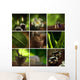 Spa Theme Collage Composed