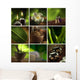 Spa Theme Collage Composed
