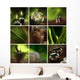 Spa Theme Collage Composed