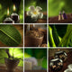 Spa Theme Collage Composed
