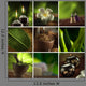 Spa Theme Collage Composed