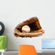 Baseball with Baseball Glove Wall Decal