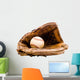 Baseball with Baseball Glove Wall Decal