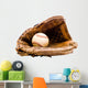 Baseball with Baseball Glove Wall Decal