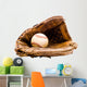 Baseball with Baseball Glove Wall Decal