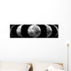 Phases of the moon Wall Mural