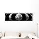 Phases of the moon Wall Mural