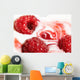 Raspberry and cream Wall Mural